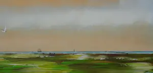 Franklin Meijer - Groningse Waddenkust kopen? Bied vanaf 59!