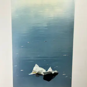 Toon Roest - Paper Swan kopen? Bied vanaf 25!