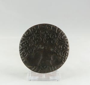 Christina Nijland - Bronzen penning, Linnaeus kopen? Bied vanaf 35!