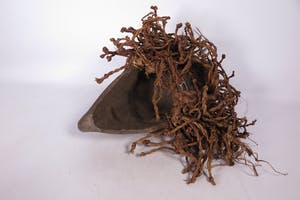 Chokwe - Houten Chihonge initiatiemasker met touwhaar kopen? Bied vanaf 1!