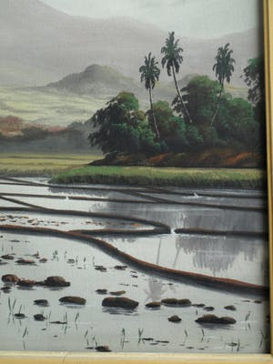 Niet of onleesbaar gesigneerd - Grote ingelijste gouache , Indisch landschap – ca. 1950 – 54 x 87 cm. kopen? Bied vanaf 1!