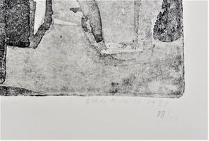 Hans Siegmund - vogelkooi kopen? Bied vanaf 60!