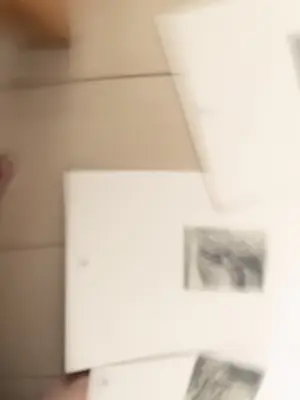 Rembrandt van Rijn - 48 etchings in originele map compleet kopen? Bied vanaf 60!