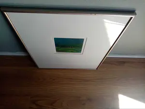 Willie van Haard - Prachtige Aquarel kopen? Bied vanaf 1!