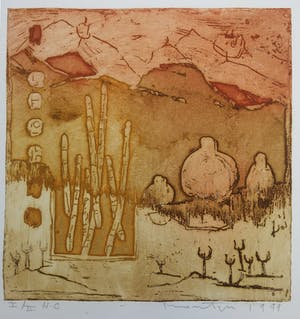 Jan Montyn - kleurenets - 1999 - oplage I/II HC kopen? Bied vanaf 75!