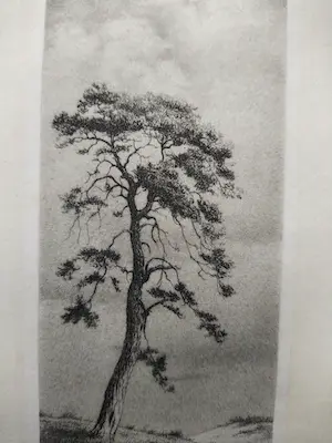 Dirk Harting - Duinlandschap kopen? Bied vanaf 40!