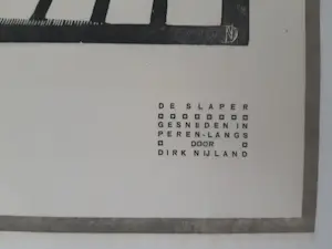 Buy Dirk Hidde Nijland - De slaper? Bid from 20!