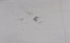 Jan Bollaert - Gemengde techniek op board, From Russia - Ingelijst (Zeer Groot) kopen? Bied vanaf 100!