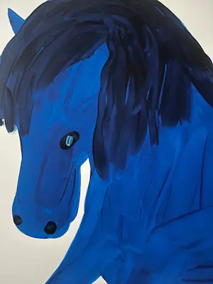 David Shrigley - Witness My Joy kopen? Bied vanaf 1750!
