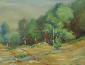 Jan Stapper - Ingelijste aquarel , Soestduinen – Lijst, 41 x 51 cm. – 1932 kopen? Bied vanaf 1!