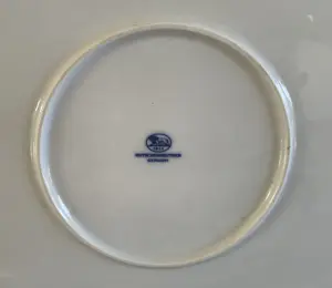 Hutschenreuther - XL bord of grill bord decor Zwiebelmuster kopen? Bied vanaf 27!