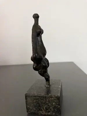 Joep Coppens - Venus kopen? Bied vanaf 159!