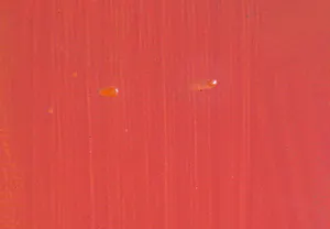 Heleen van der Tuin - Olieverf op doek, Zonder titel (Groot) kopen? Bied vanaf 400!