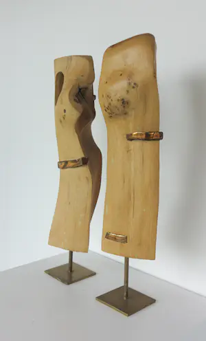Frans Kokshoorn - Set van twee sculpturen van hout met metalen elementen kopen? Bied vanaf 200!