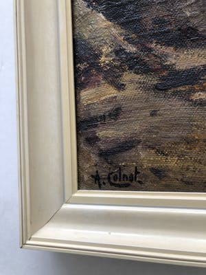 Arnout Colnot - Bosgezicht kopen? Bied vanaf 340!