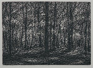 Paulien Wittenrood - Ets, Zonlicht in het bos I kopen? Bied vanaf 35!