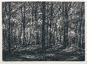 Paulien Wittenrood - Ets, Zonlicht in het bos I verkocht voor € 35!