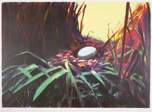 Siert Simon Dallinga - Zeefdruk, Heerenveen kopen? Bied vanaf 1!