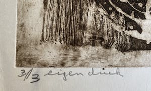 Jan Montyn - emoties van bewegingen kopen? Bied vanaf 120!