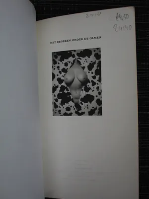 Erwin Olaf - Gelatine zilverdruk: Desire (Het Zuidelijk Toneel) - 1992 + 2 boeken kopen? Bied vanaf 999!