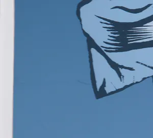 Wally Elenbaas - Zeefdruk, De vis kopen? Bied vanaf 80!