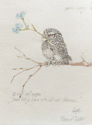 AcheterPeter Vos - Uil met bloemen, tekening / aquarel? Enchérissez de 350!