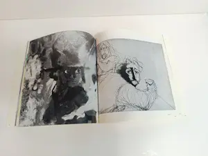 Roger Somville - Een stel + een geïllustreerd boek over Somville Roger. kopen? Bied vanaf 89!