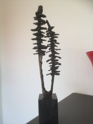 Ina Snoeijing - Twee bomen kopen? Bied vanaf 109!