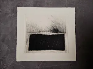 Ko Oosterkerk - een fraaie droge naald Ets "wuivend riet" beperkte oplage (84) kopen? Bied vanaf 45!