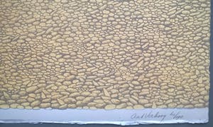 Aat Verhoog - gesigneerde litho kopen? Bied vanaf 50!