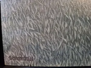 Sven Hoekstra - Rondleiding kopen? Bied vanaf 1250!