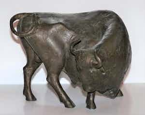 Evert den Hartog - Stier verkocht voor € 750!