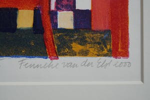 Fenneke van der Elst - Doorkijkje I kopen? Bied vanaf 20!