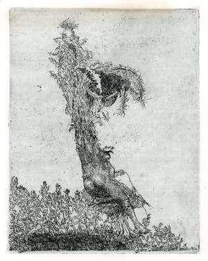 Hans Kuyt - Gevangen Vogel - unieke kans op werk van Hans Kuyt kopen? Bied vanaf 49!