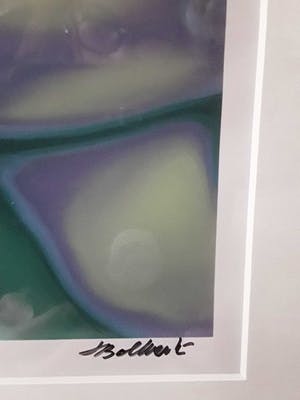 Jan Bollaert - Lambdaprint, Dept of Art Sanitation,ingelijst kopen? Bied vanaf 35!