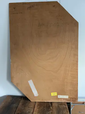 Sjouke Heins - Waterpolo team kopen? Bied vanaf 150!