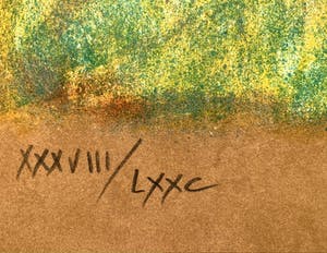 Claudia Steine - Lady in Red in bed kopen? Bied vanaf 25!