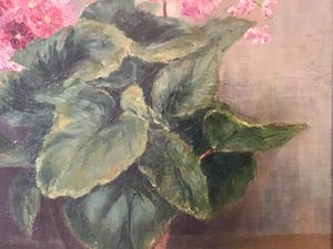 Felicien Bobeldijk - Bloemen in Vaas kopen? Bied vanaf 50!