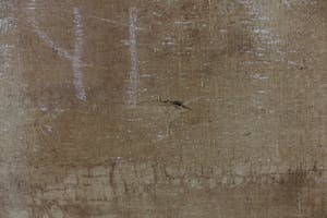 Willem Frederik Noordijk - Olieverf op doek, De Eempolder - Ingelijst kopen? Bied vanaf 1!