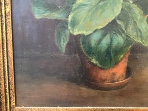 Felicien Bobeldijk - Bloemen in Vaas kopen? Bied vanaf 50!