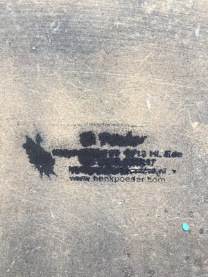 Henk Poeder - Huis mus op tak bij bloemen kopen? Bied vanaf 62!