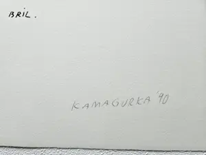 Kamagurka - De man uit twee stukken en zijn bril kopen? Bied vanaf 135!