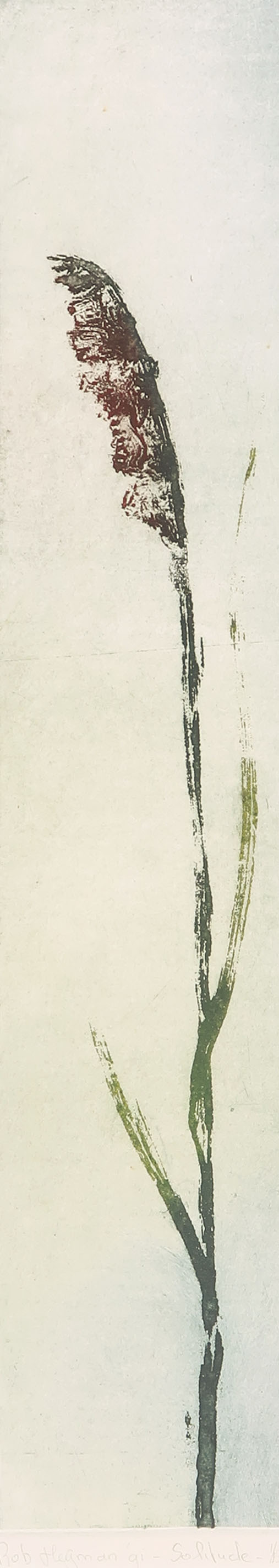 Rob Heijman - Kleurenets, Solitude kopen? Bied vanaf 1!