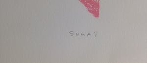 Kumi Sugai - Kleurenlitho - "S (Rose)" - Handgesigneerd en genummerd - 1990 kopen? Bied vanaf 200!