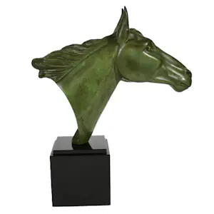 Irénée Rochard - Paard kopen? Bied vanaf 850!