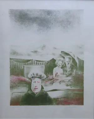 Wout Muller - WONDERKIND / KLEURLITHO / 51x41cm / KADER / SIG / 1971 kopen? Bied vanaf 25!