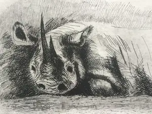 Hetty Heyster - witte neushoorn | zeldzame ets van gerenommeerd beeldhouwster - ingelijst kopen? Bied vanaf 40!