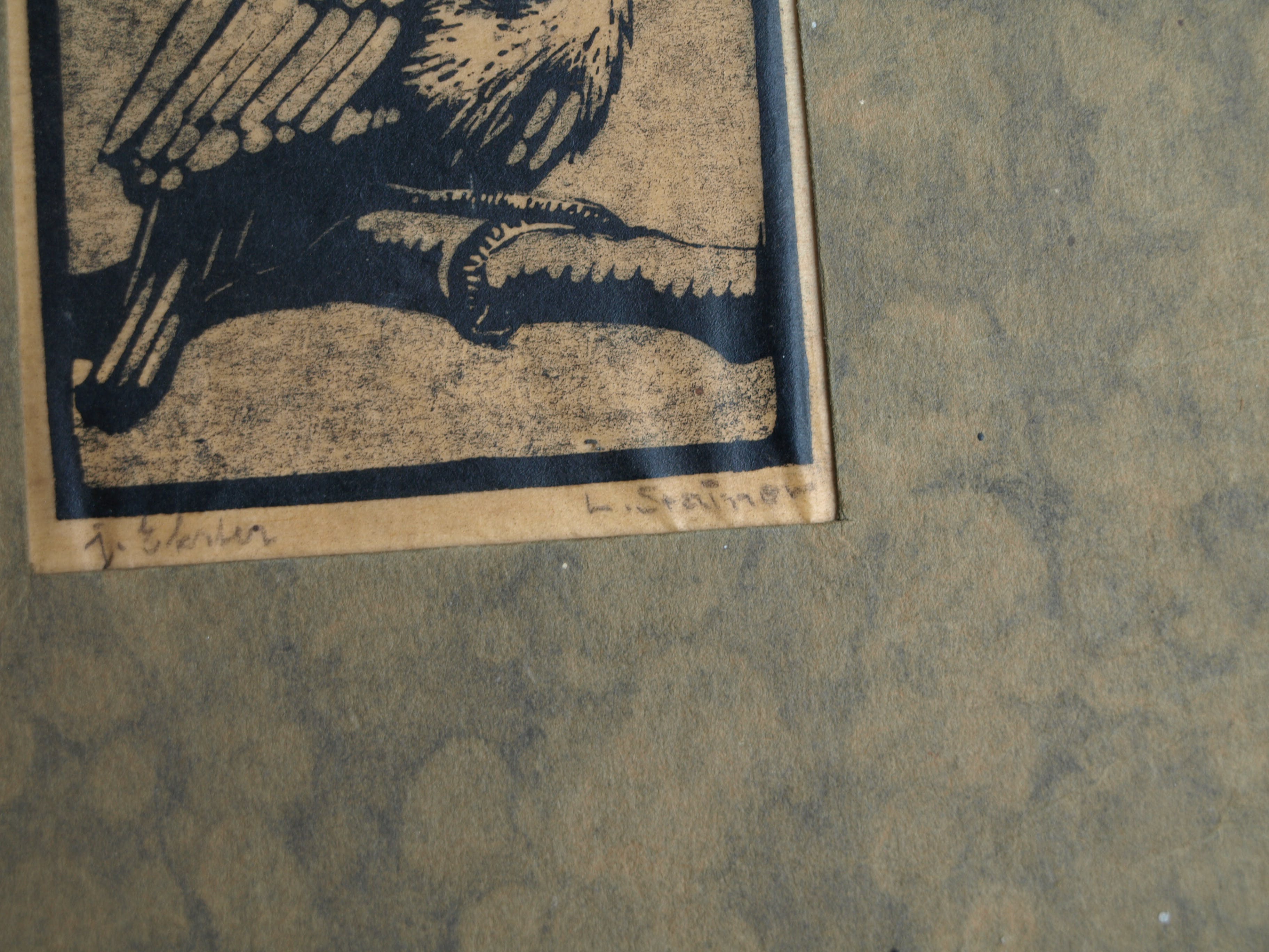 Ludwig Stainer - Ets , Jonge ekster – Gesigneerd – ca 1935 kopen? Bied vanaf 1!