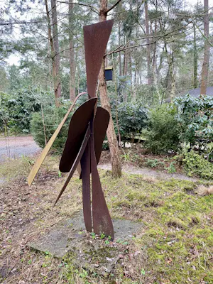 Theo Niermeijer - Vogel kopen? Bied vanaf 2000!