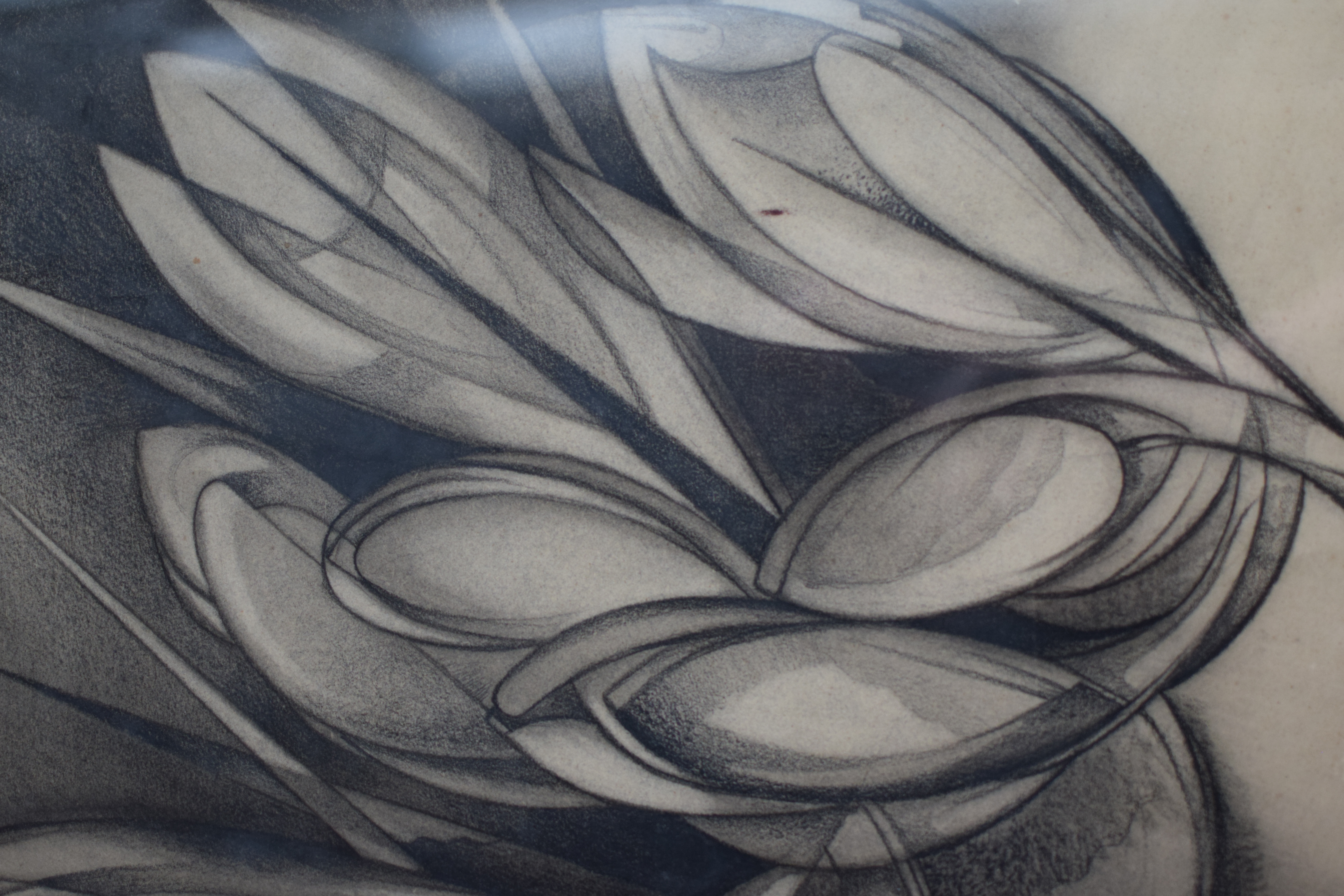 Wim Kersten - Krokussen kopen? Bied vanaf 25!